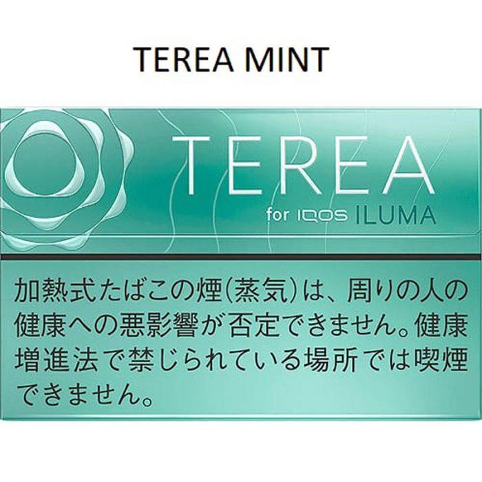 Terea Mint vapeson