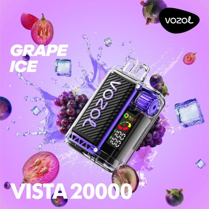 Vozol Grape Ice Vista 20000