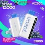 vozol-blueberry-storm