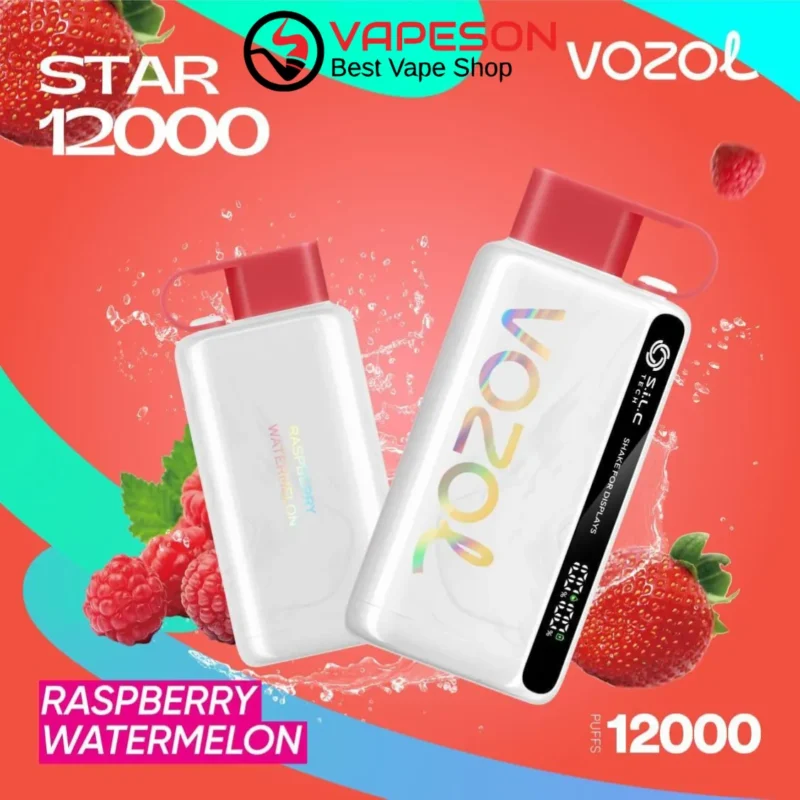 Vozol Raspberry Watermelon STAR 12000