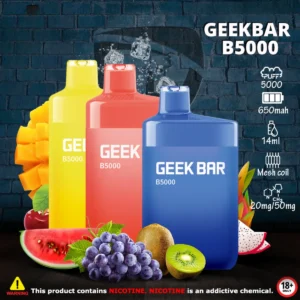 GEEKBAR-B5000-PUFFS-DISPOSABLE-VAPE.webp