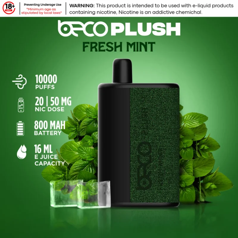 Beco Plush10000 Puffs 2% & 5% nicotine Disposable Vape In Dubai - Fresh Mint