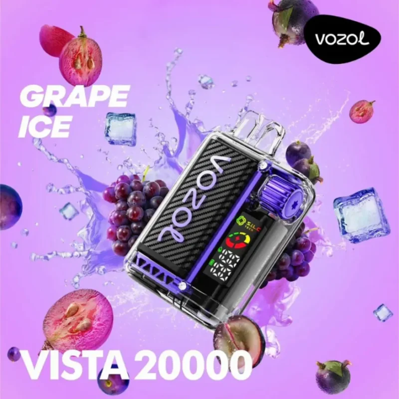 VOZOL VISTA 20000- Grape Ice