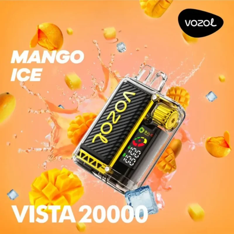 VOZOL VISTA 20000- Mango Ice