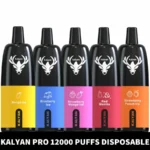 Kalyan 12000 Puffs Disposable Vape