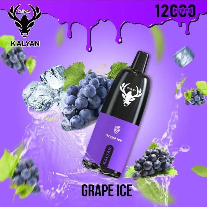 Kalyan 12000 Puffs - Grape Ice