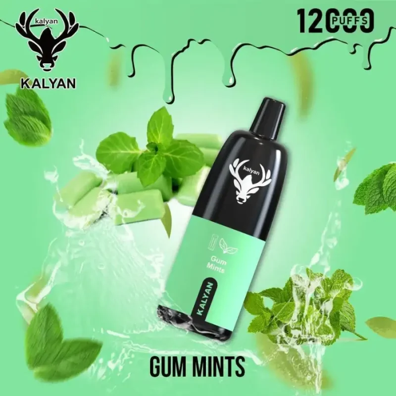 Kalyan 12000 Puffs - Gum Mints