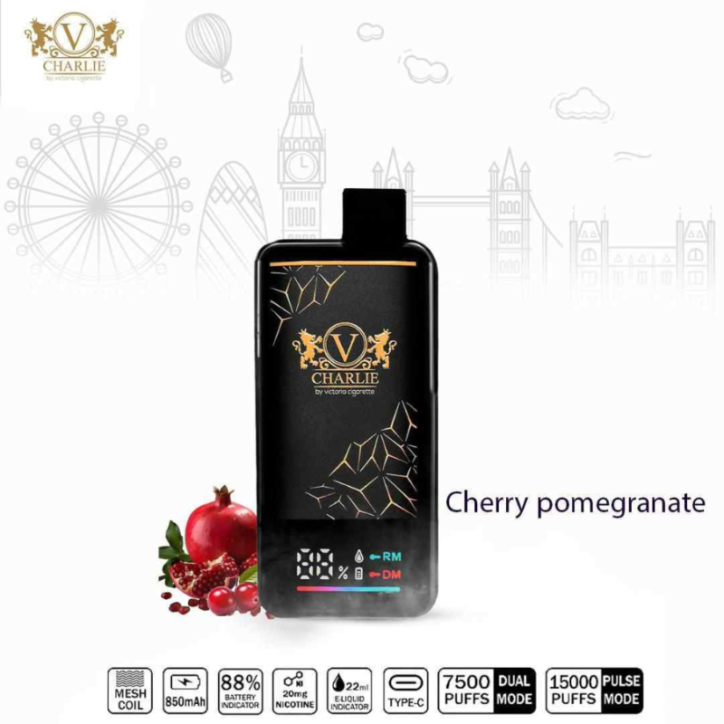 VICIG Charlie 15000 Puffs 20MG Disposable Vape in Dubai - Cherry Pomegranate