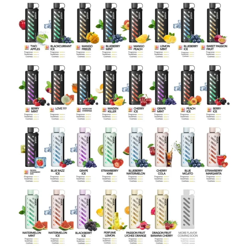 Vozol Gear Shisha 25000 Puffs Disposable Vape - Image 2
